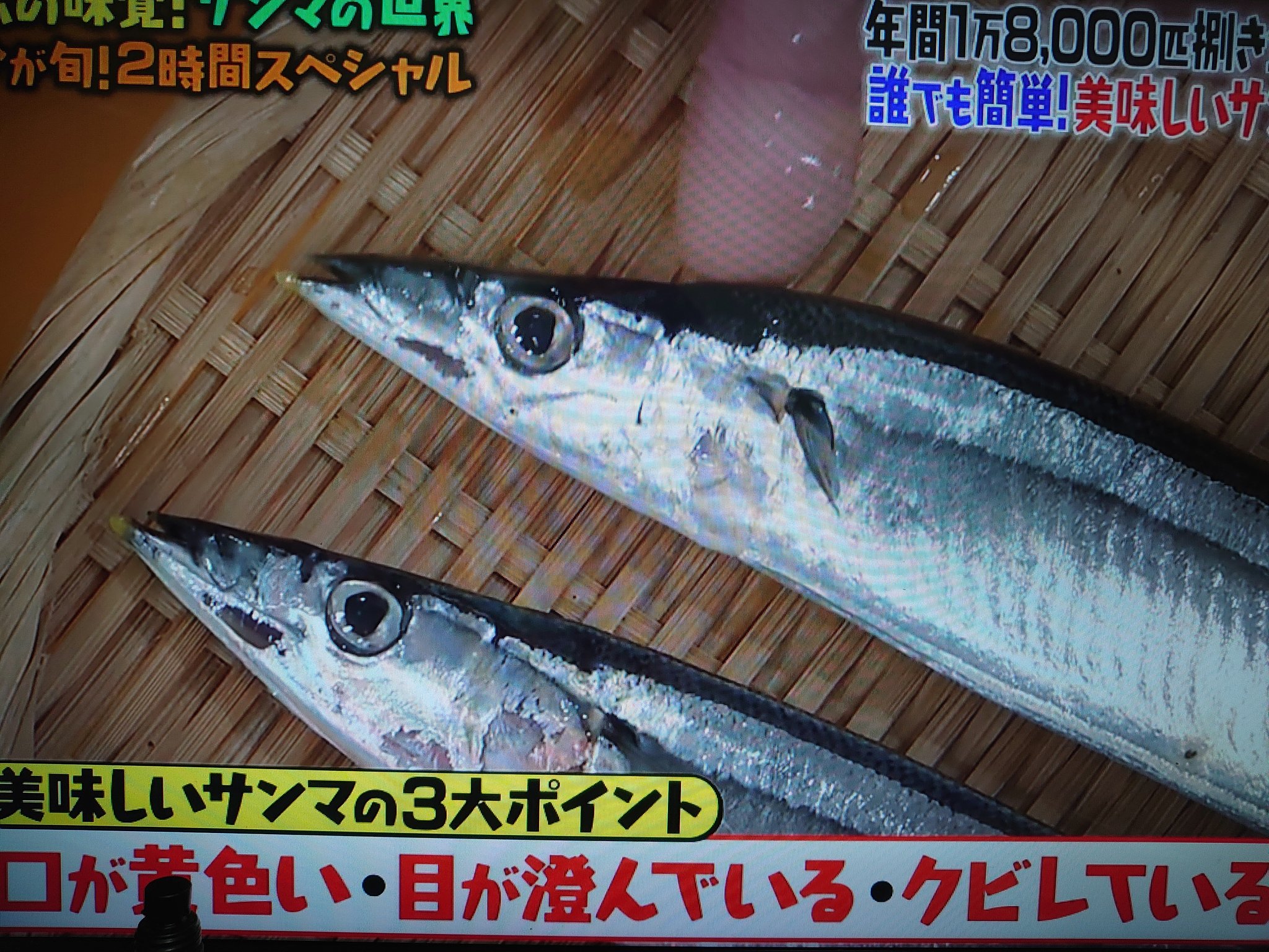 マツコの知らない世界 サンマの美味しい見分け方と絶品メニューまとめ 日々の知りたいこと