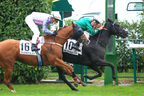 Paris_Turf's tweet photo. #Quinté Malgré son manque d'expérience, Flying Candy (A. Gavilan / D. Guillemin) domine ses aînés dans le Prix du Cabinet des Livres, événement de ce mardi 13 octobre à @fgchantilly 

Arrivée : 10-16-13-4-5 https://t.co/hS44qu5d4V