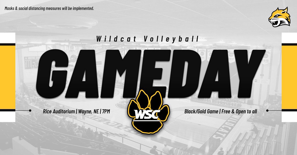 We are so excited to post this:

IIIIIIItttt’s Game Day!! 💛🐾🐯🏐

#GoCats #PlayforthePaw