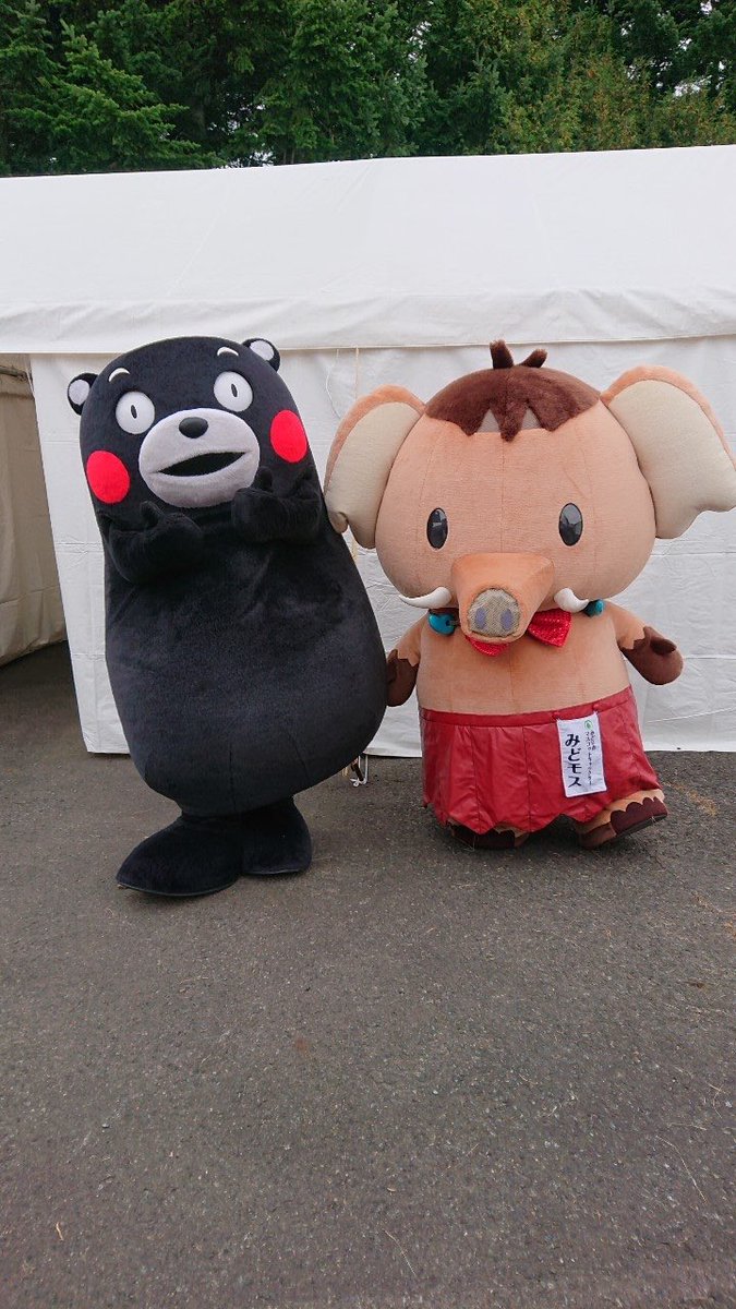 みどモス 公式 みんな こんばんはモス ゆるキャラグランプリのお写真ちょこっとあげるモス まさか ゆるグラの事もう昔の事だと思ってないモス 時を戻そう なんと 歴代グランプリとちゃっかりお写真撮ってきたモス くまモン