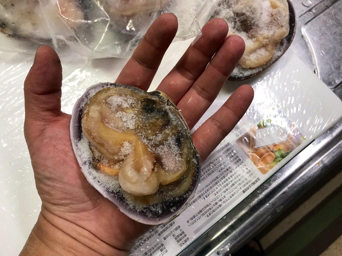 みなせ 今年はカミツキガメ取りに行けない 握り拳大の大きい貝が 一個あたりで90円くらい 本当にお得ですね 味はこれから食べてみます 美味しいことを期待しましょう 塩を振ってオーブンで焼きますね