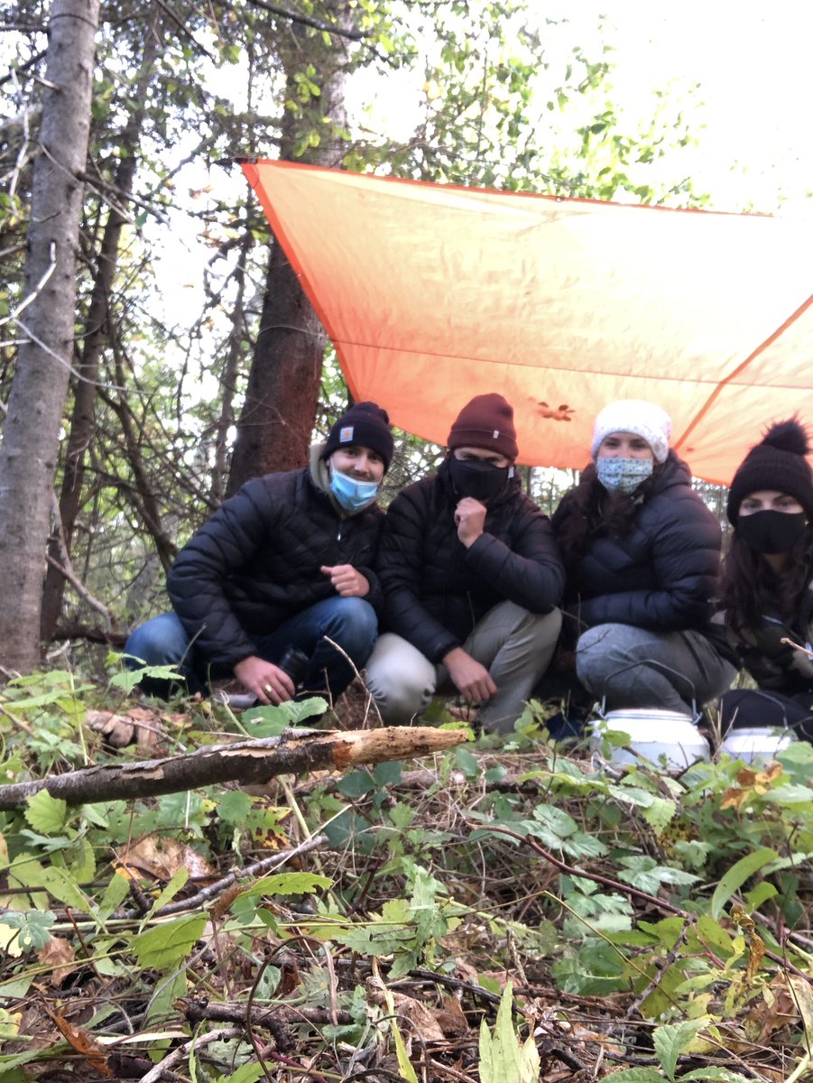 JackMcBeath's tweet photo. Beautiful morning for a coffee in the bush and some shelter building @asforan #getoutside #OutdoorEd https://t.co/yMN6k3D945