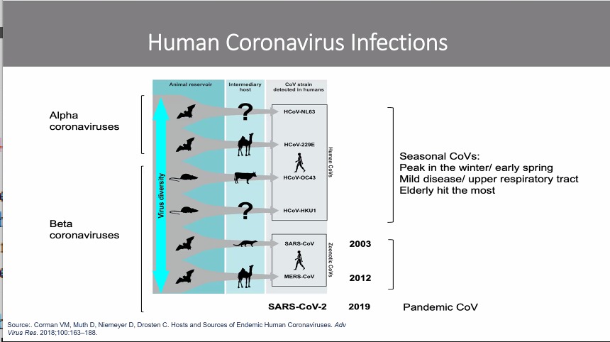 Nanyingih's tweet photo. CORONAVIRUS OUTBREAKS IN 21ST CENTURY 

Prof. David Heymann @LSHTM outlining the epidemiological transmission,  #OneHealth zoonotic pathways, virus co-evolution, human behaviour, global travel and economic meltdown due to outbreaks of #MERSCov #SARS 
#RSTMH2020 #EmergingDiseases https://t.co/IND6BOCfLd