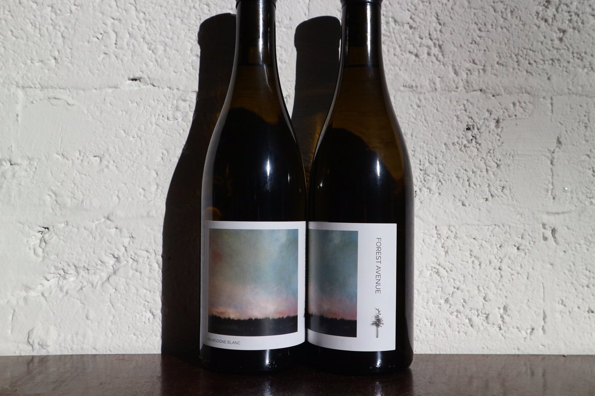 Forest Avenue Bourgogne Blanc 2018
Our delicious white is 100% chardonnay from Burgundy. There are pure aromas of citrus, apple, with a touch of honey. There is a nice creaminess to the wine that balances the fresh acidity.  
In collaboration with <a href="/TheWineMasons/">ben mason</a> <a href="/Paulhughesgee/">Paul Hughes</a>