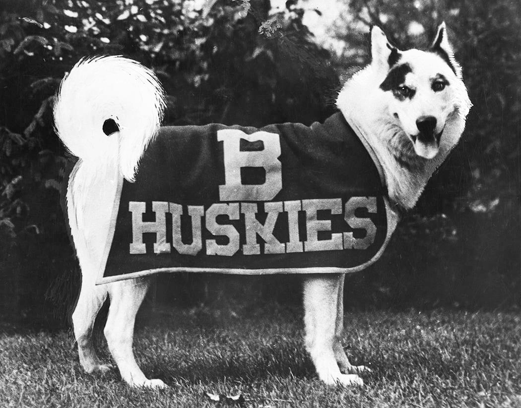GoBUHuskies's tweet photo. How it started                              How it's going https://t.co/Tqq51Ey88A