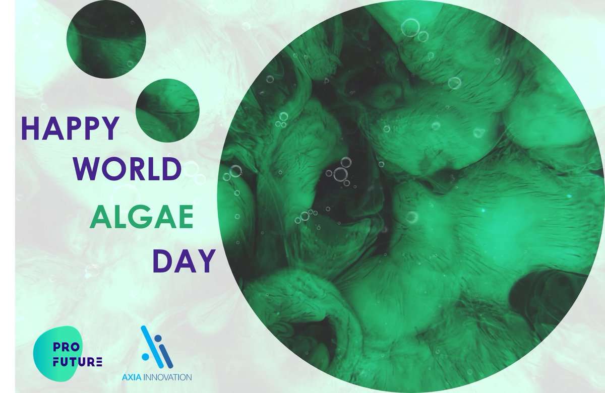 @AxiaInnovation celebrated the #WorldAlgaeDay!
We are happy to be part of the mission towards Proteins of the Future led by the ProFuture project! 

✔️ Curious to find more details? pro-future.eu 

#FutureFood #FutureProteins #ProFutureEU #EU_H2020