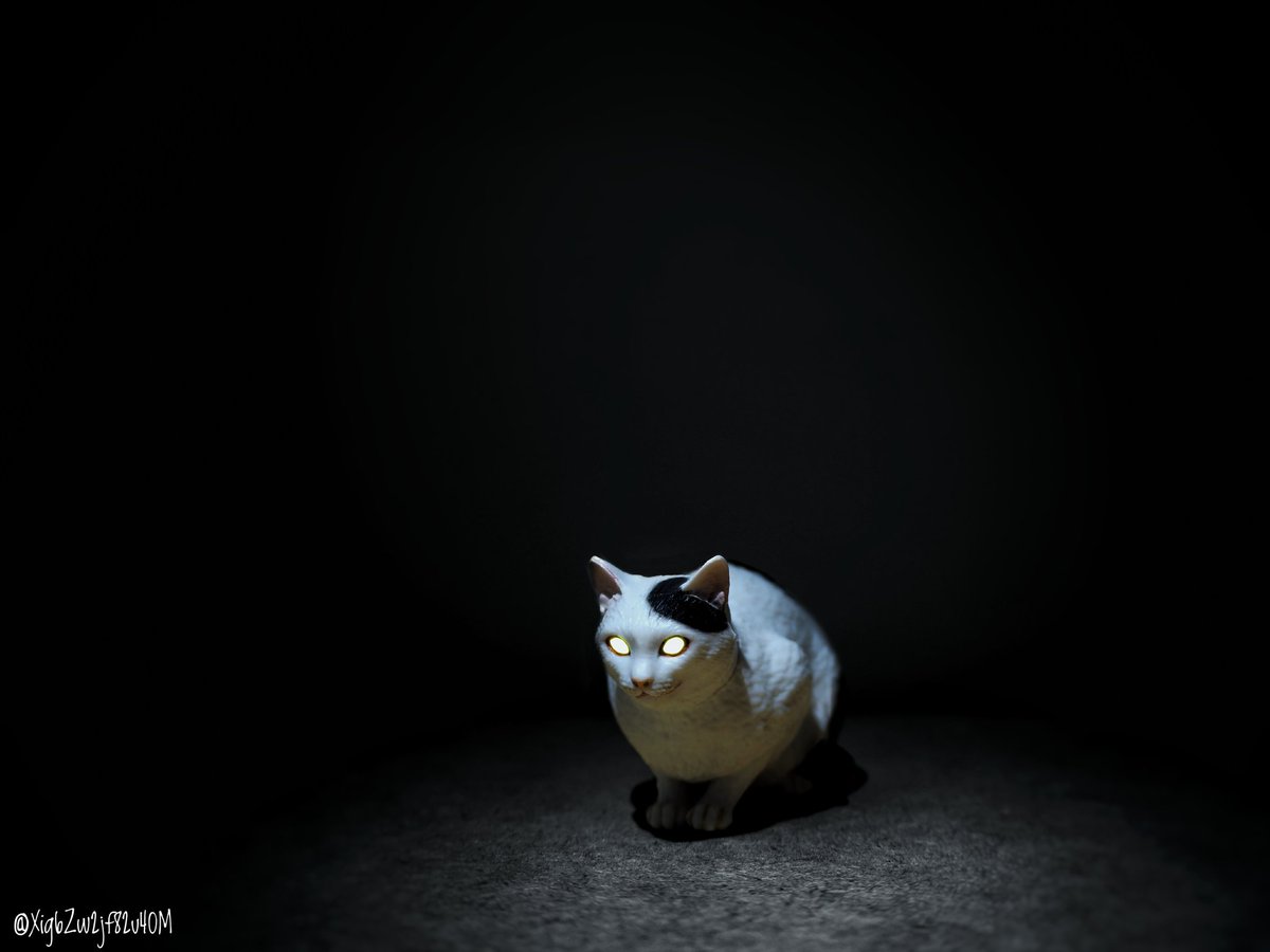 Twoucan 猫画像 の注目ツイート イラスト マンガ コスプレ モデル Twoucan 猫画像 の注目ツイート イラスト マンガ コスプレ モデル