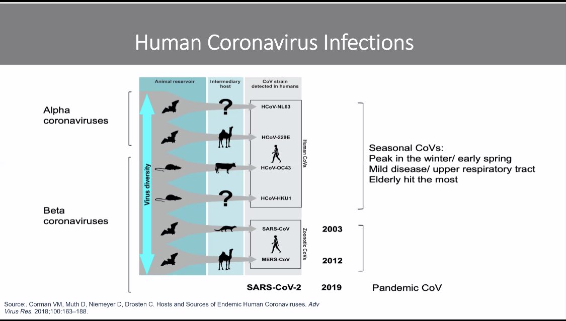 Review of SARS outbreak 2003 by Prof Heymann of @LSHTM as well as progression of possible previous pandemic from 1880’s with CoV-OC43. Will COVID-19 follow a similar path?
#RSTMH2020