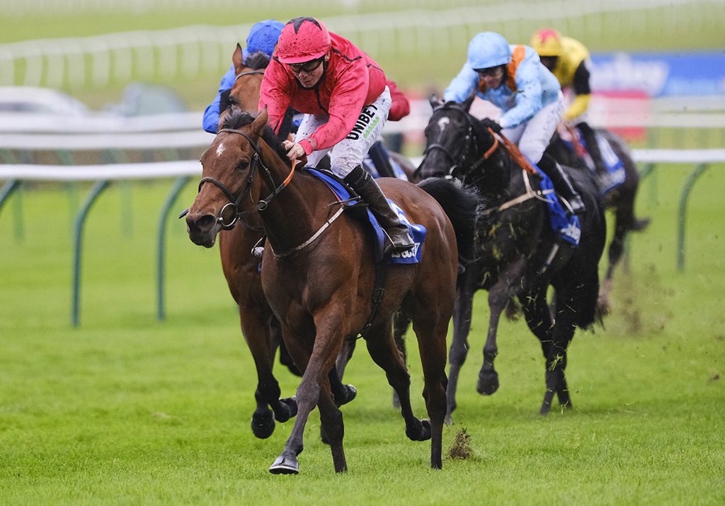 Stack_Racing's tweet image. Lady Wannabe Wins Gr.3 at Newmarket... bit.ly/3dly7xy #StackRacing