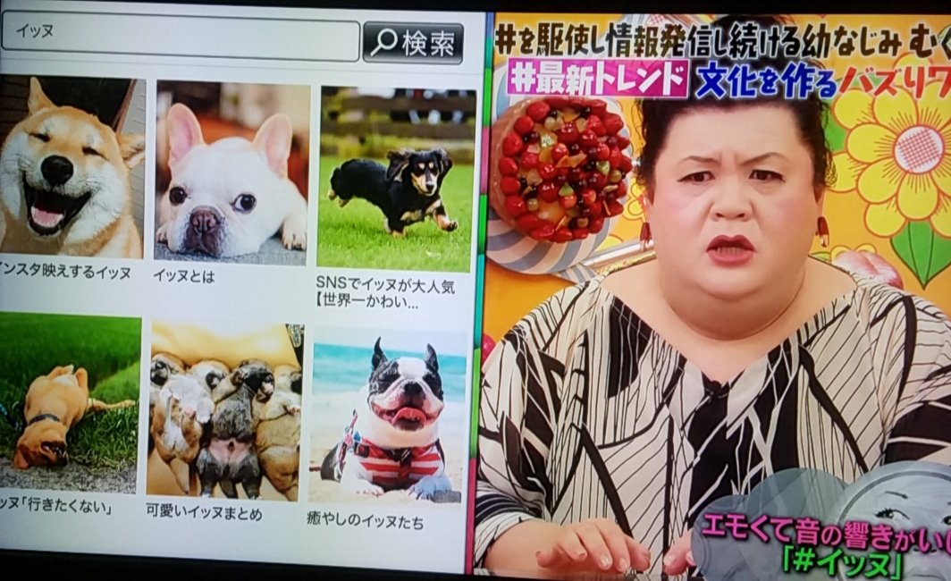 タグ ハッシュタグの世界 の注目ツイート メガとんトラック