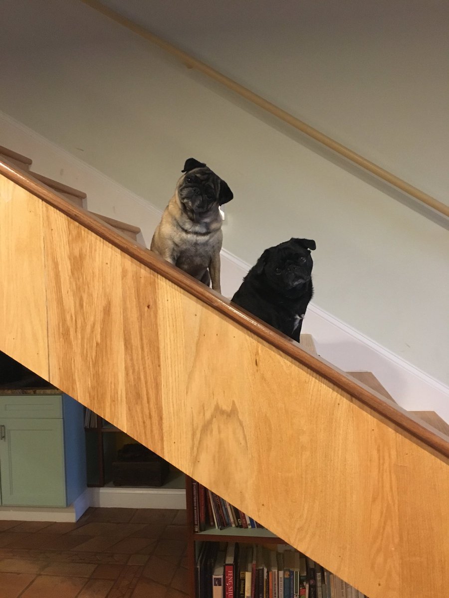 Just hangin’ and tiltin’