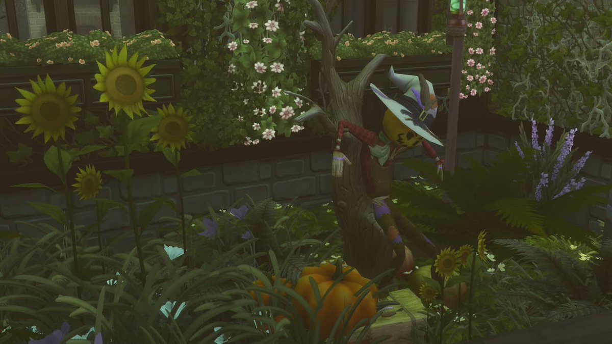 _MsPamplemousse's tweet photo. I am so ready for Halloween this year!! I might not be able to celebrate it properly but my Sims can!! 🎃🖤

#TheSims4 #TheSims #ts4 #showusyourbuilds #spookybuild https://t.co/QAASjX9KeT