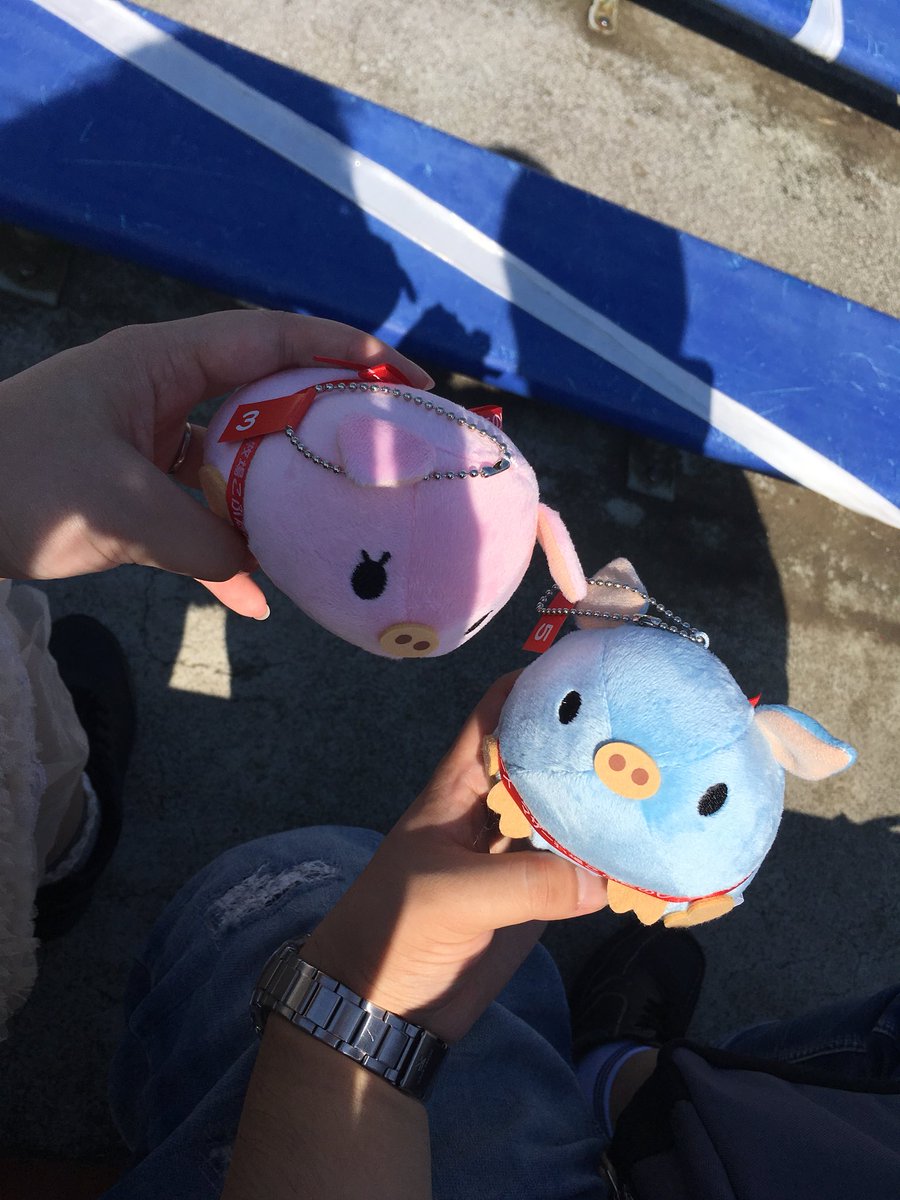 誕生日だったのでマザー牧場に連れてってもらった(*´꒳`*)はっぴー✨ https://t.co/fdfSeLz09d