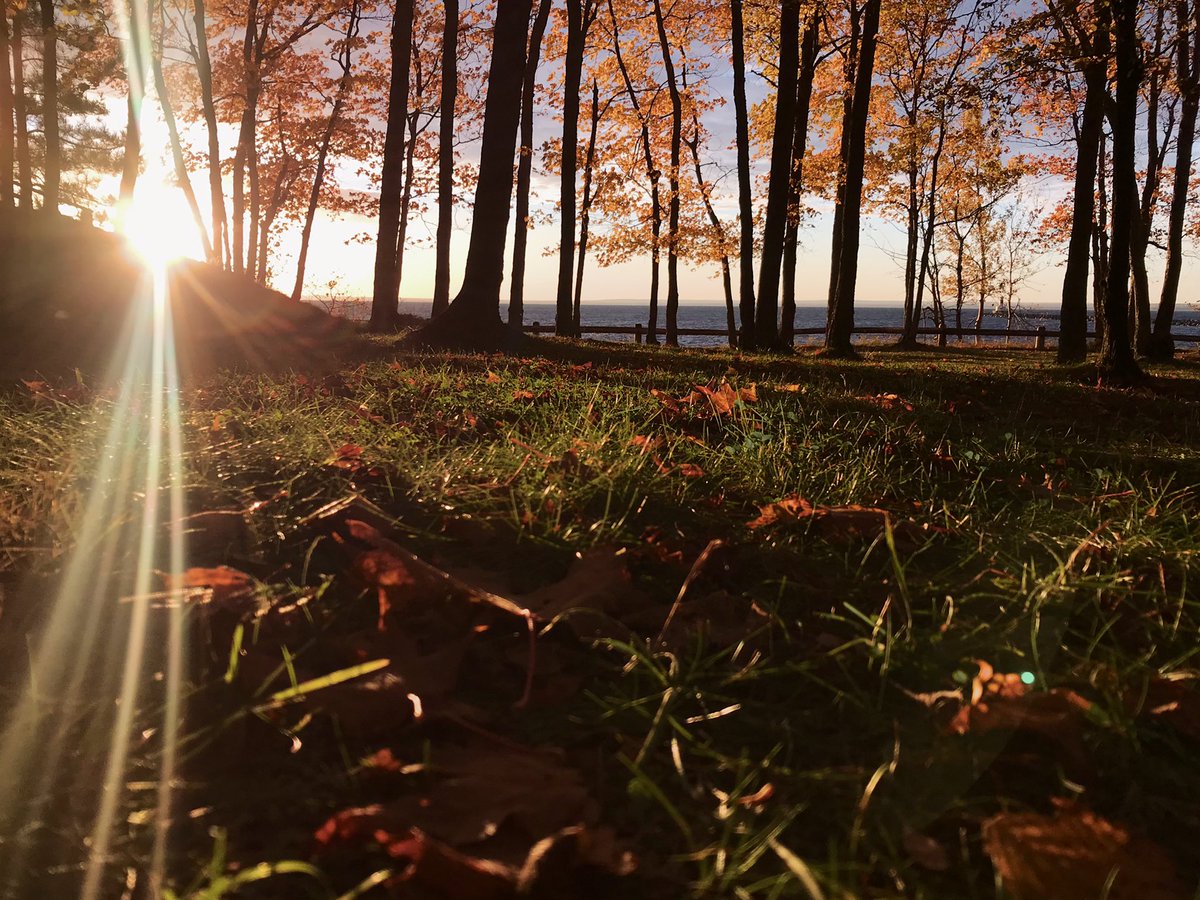 Sunrise 652. “We all have the same holes in our hearts” — Wooden Heart by Listener – bei  Presque Isle