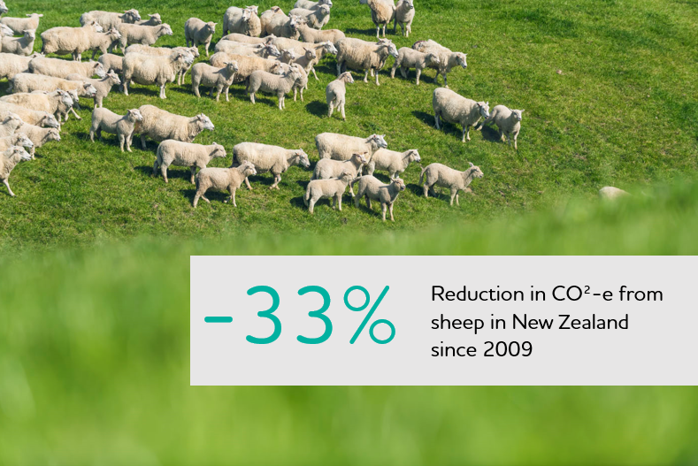 Wools of New Zealand tweet media