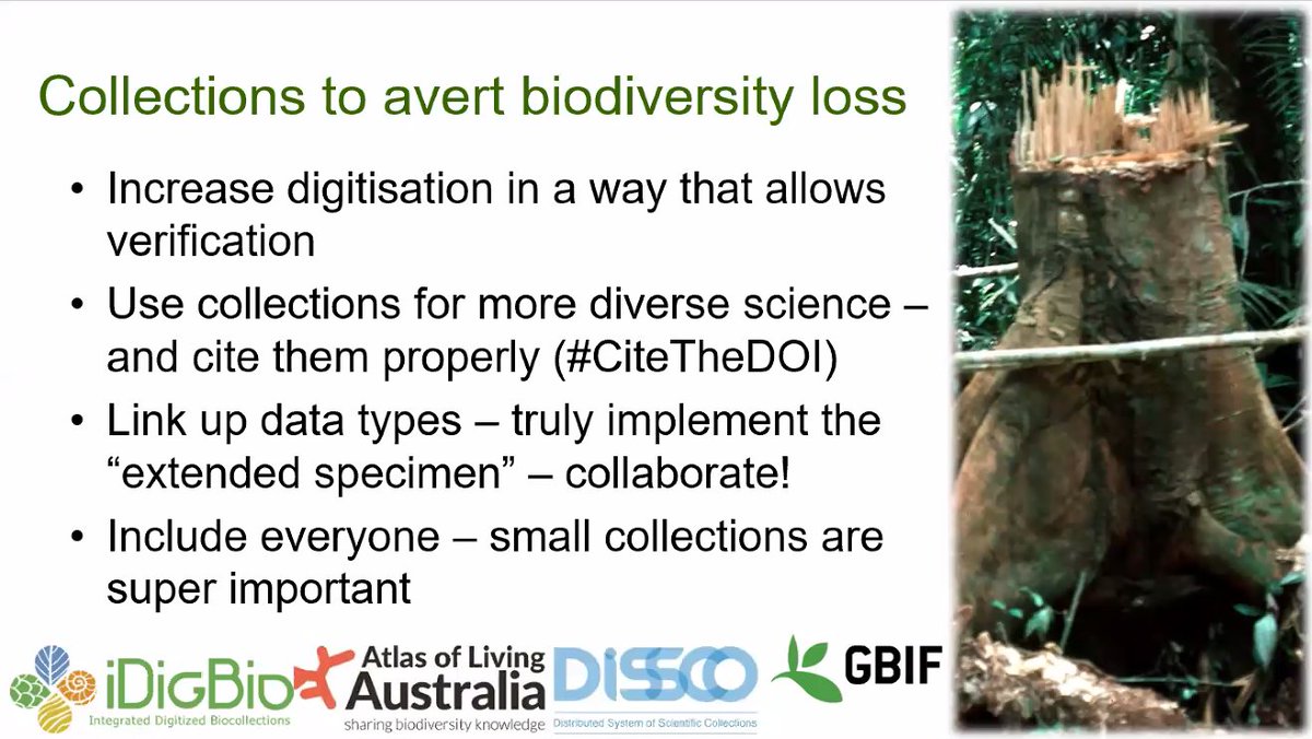 Four excellent principles from <a href="/SandyKnapp/">Sandra Knapp</a> to ensure #collections can truly help us stop biodiversity loss #SOTWPF @KewScience <a href="/NHM_Botany/">NHM Botany</a>