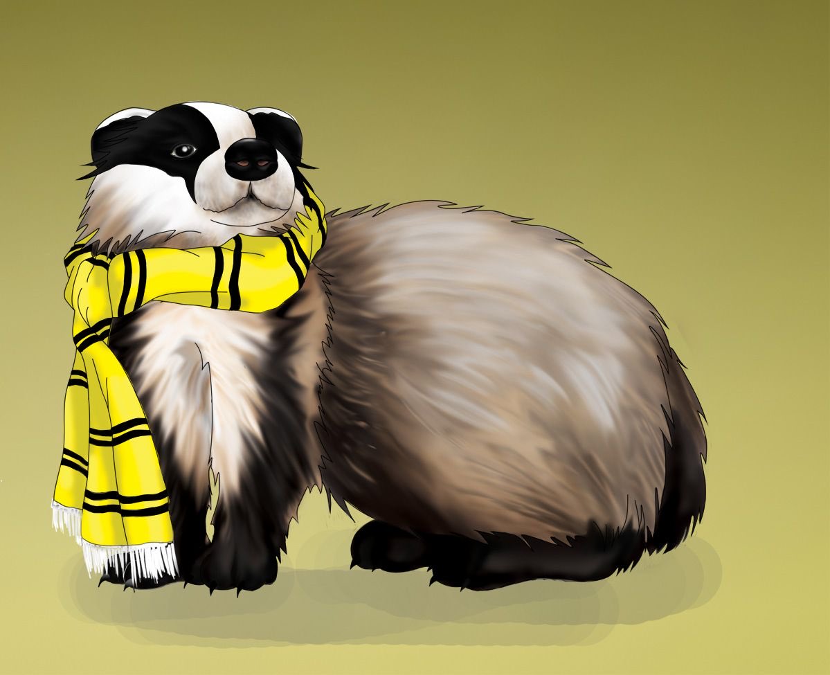 The emblematic animal is a badger, and yellow and black the house colors.(art by ShizukaNaHana on DeviantArt)