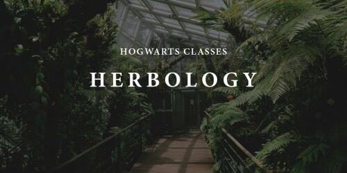 Students sorted into Hufflepuff often demonstrate exceptional abilities in Herbology, owing to their correspondence to earth.