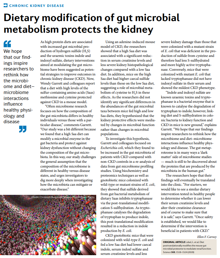 Nature Reviews Nephrology tweet media