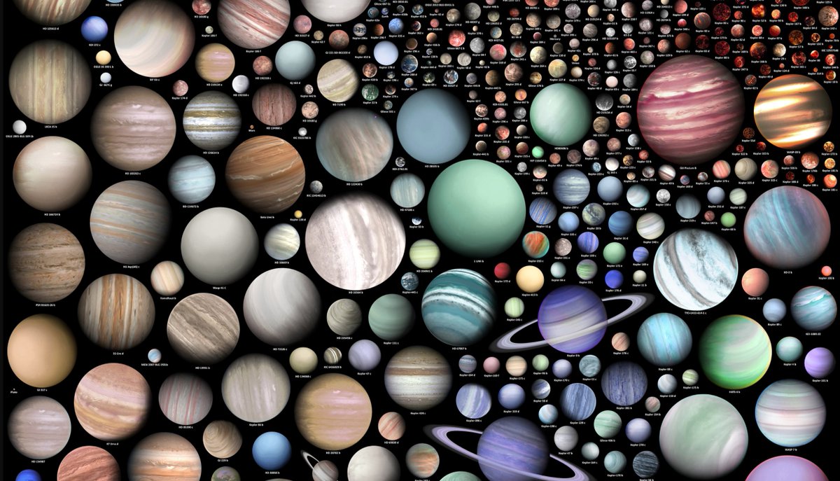 Alexandria Johnson tweet media