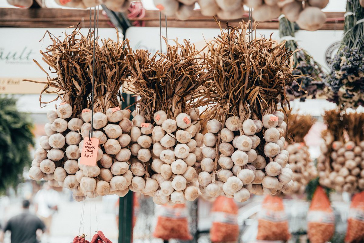 From well known spots to secret hidden gems, check out our list of top places to photograph this fall 👉 bit.ly/33gjGWS #MyOttawa