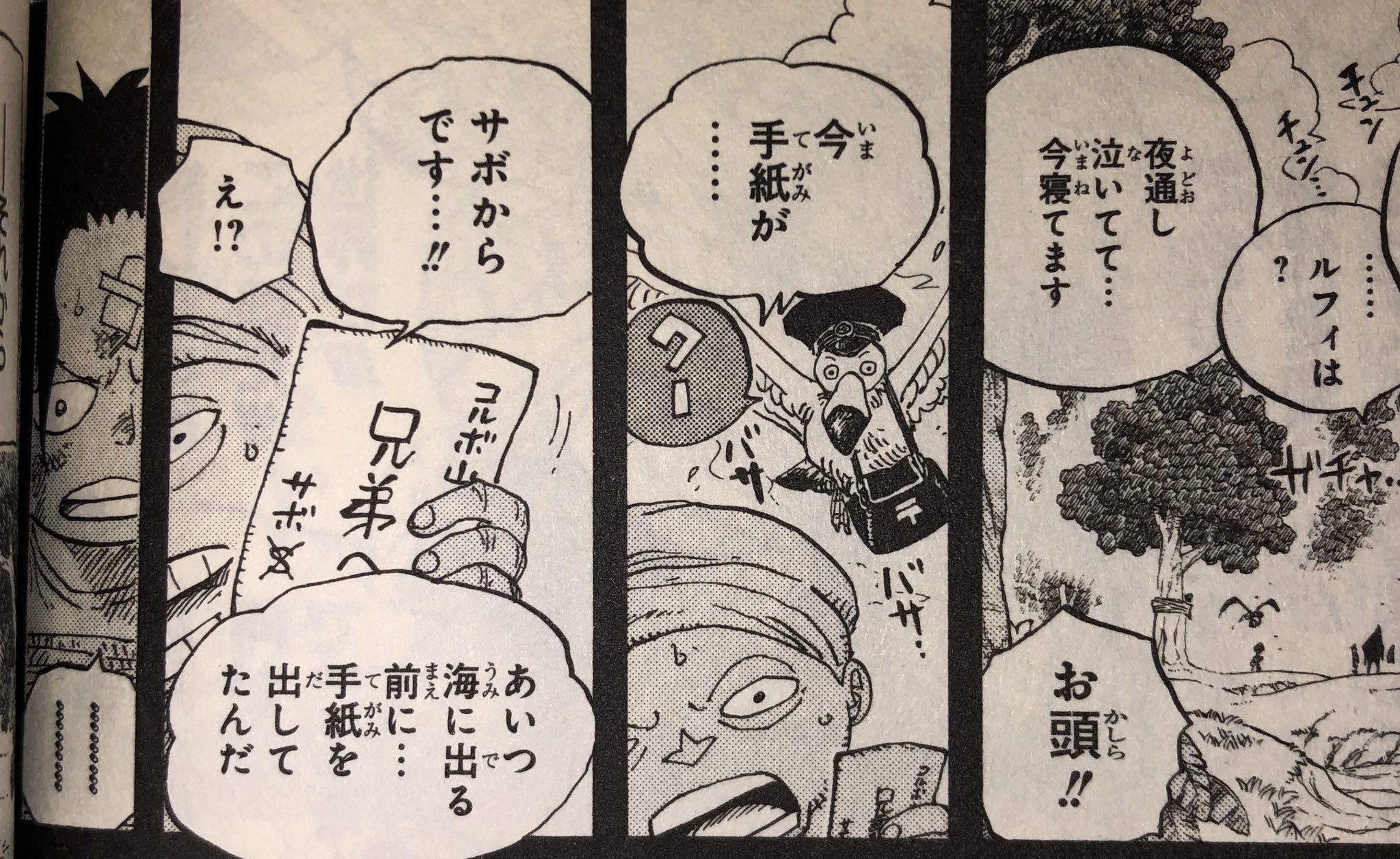 ワンピースのだいぼうけん 大 考察 Grateconsider Twitter