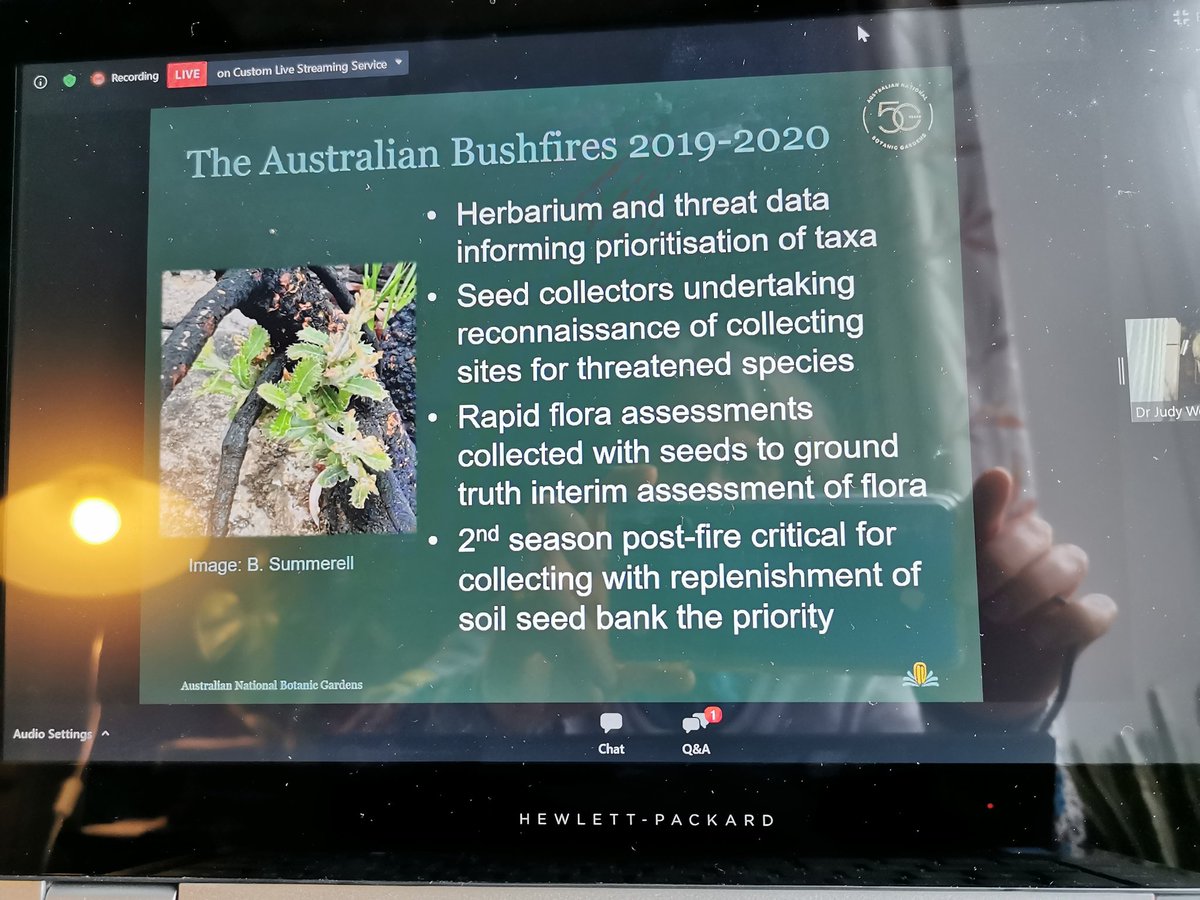 Aristolochia's tweet image. Fascinating to hear how herbaria can support post-fire restoration and seed collecting efforts in Australia from Dr Judy West #SOTWPF