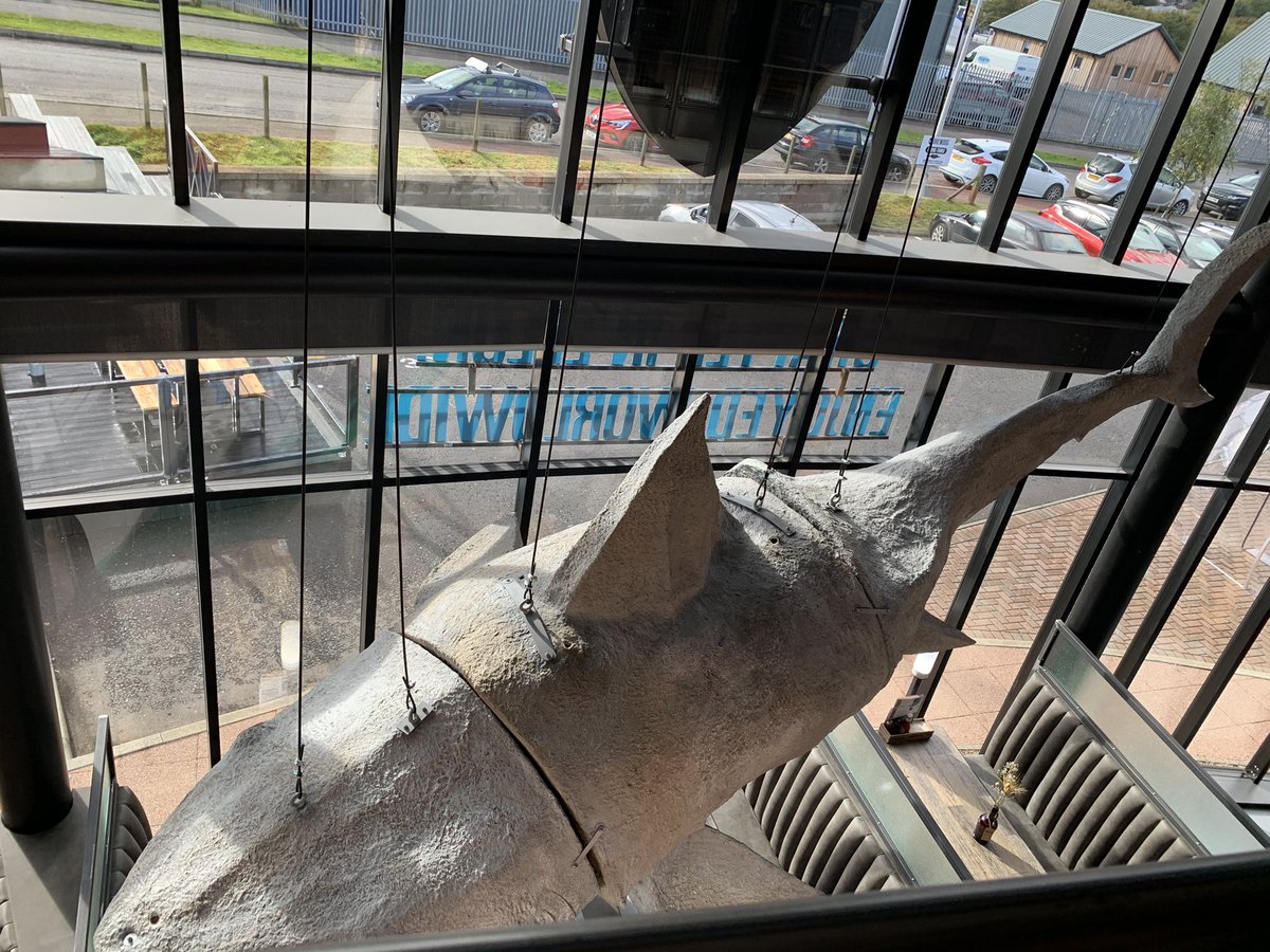 andiabz's tweet image. Checking out the new home of @BrewDogDogTap , friends and family day.

You’re in for a treat once it opens properly this Saturday.

The special pork and chorizo burger with Brie and #epicbacon from @Baconeer1 was AMAZING! 

#BrewDog #DogTap