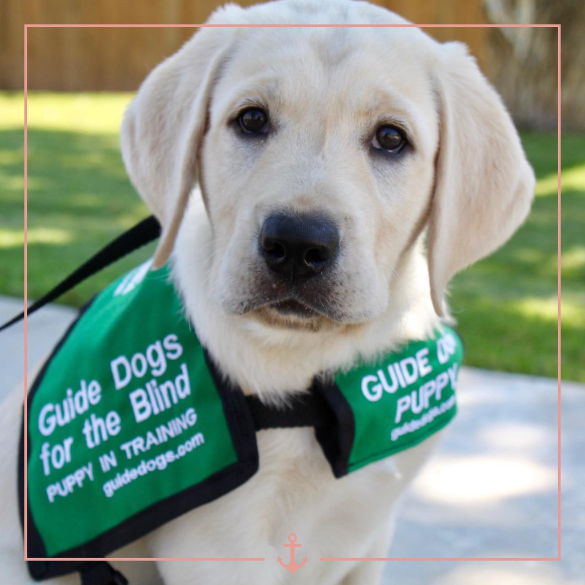 DG Foundation tweet media