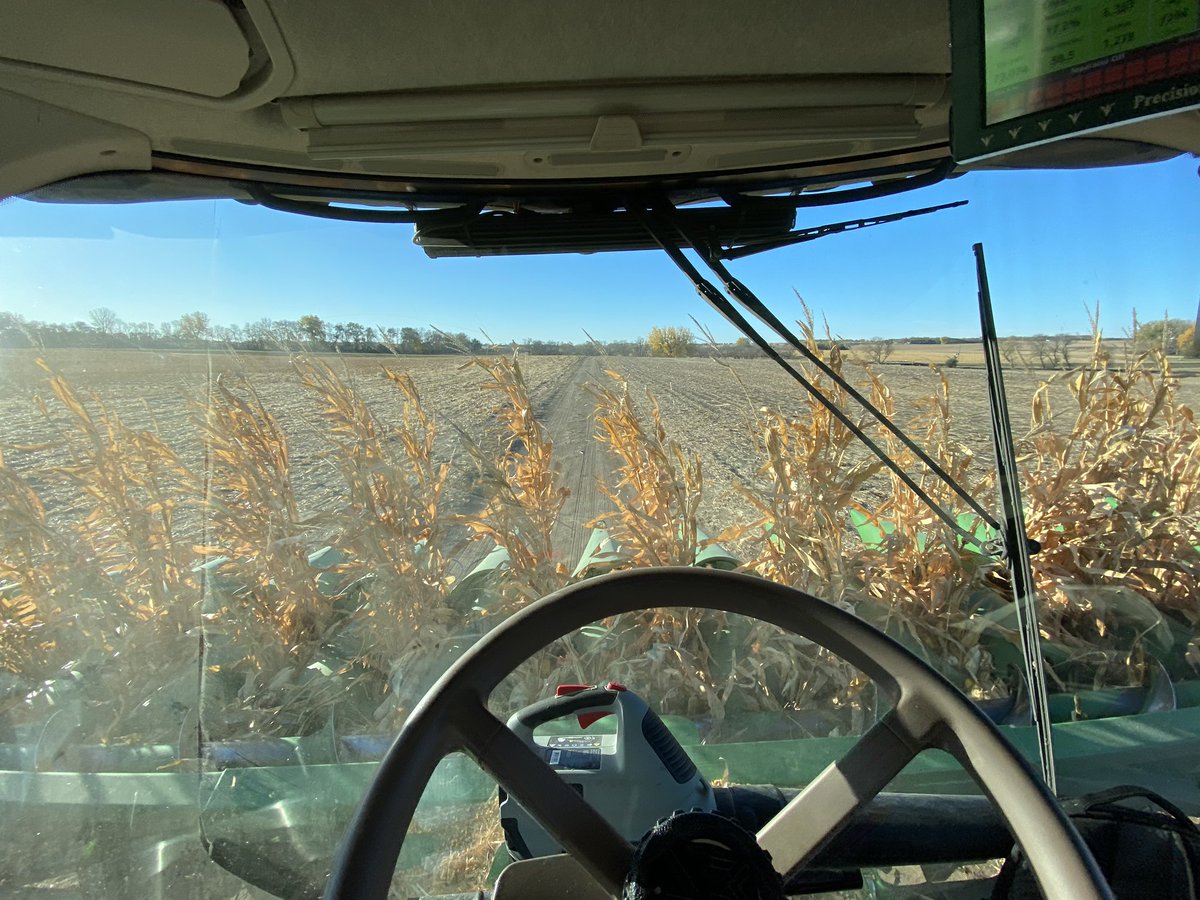 👣 Barefoot’n Farmer 👣 🇺🇸🚤🇺🇸 tweet media