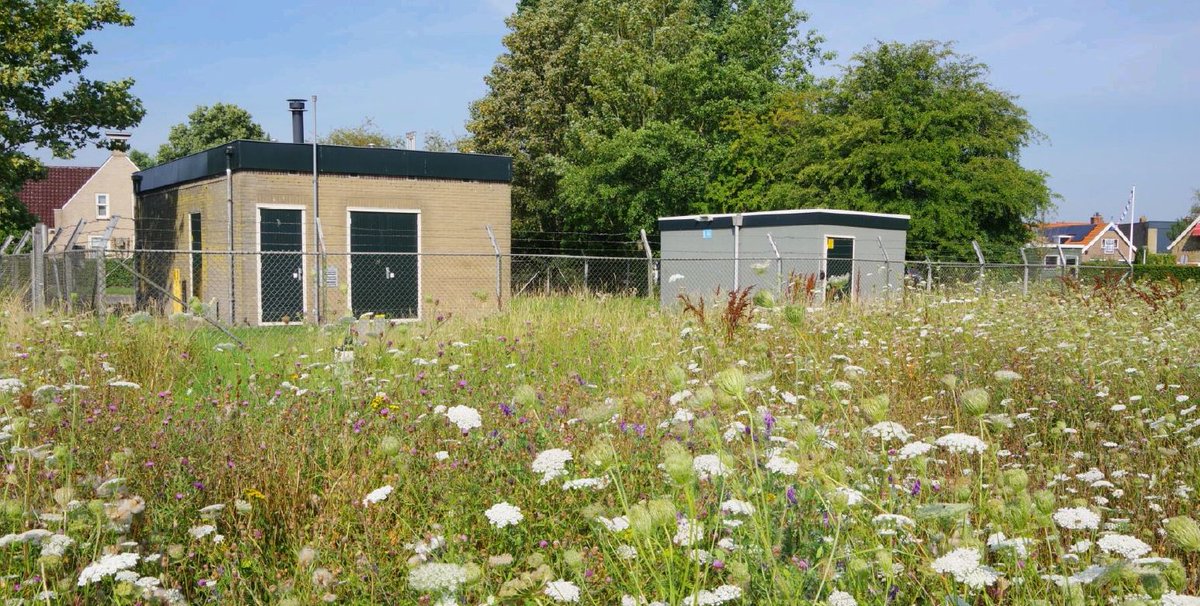 In samenwerking met ecologisch adviesbureau Altenburg &amp; Wymenga hebben wij voor Liander de biodiversiteit bij een gasontvangstation sterk laten toenemen. De monitoring door Altenburg &amp; Wymenga toont aan dat door herinrichting van het terrein, de #biodiversiteit enorm verhoogd is.