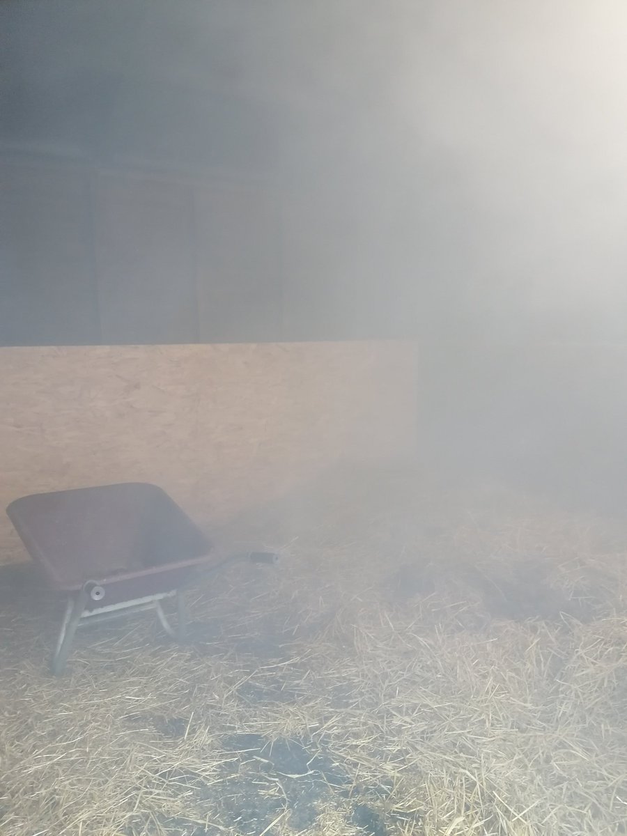 Penny__Ralph's tweet image. HNC in Equine were investigating ventilation in different equine housing today with the use of smoke pellets @cravencollege - think the visual effect demonstrates this brilliantly #stabledesign #equinewelfare #ventilation