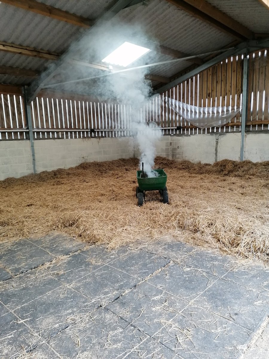 Penny__Ralph's tweet image. HNC in Equine were investigating ventilation in different equine housing today with the use of smoke pellets @cravencollege - think the visual effect demonstrates this brilliantly #stabledesign #equinewelfare #ventilation