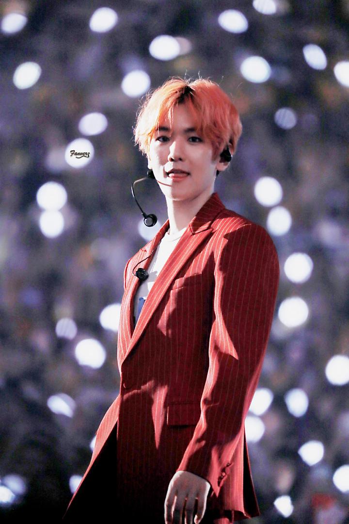 baekhyun pics 🐶 tweet media