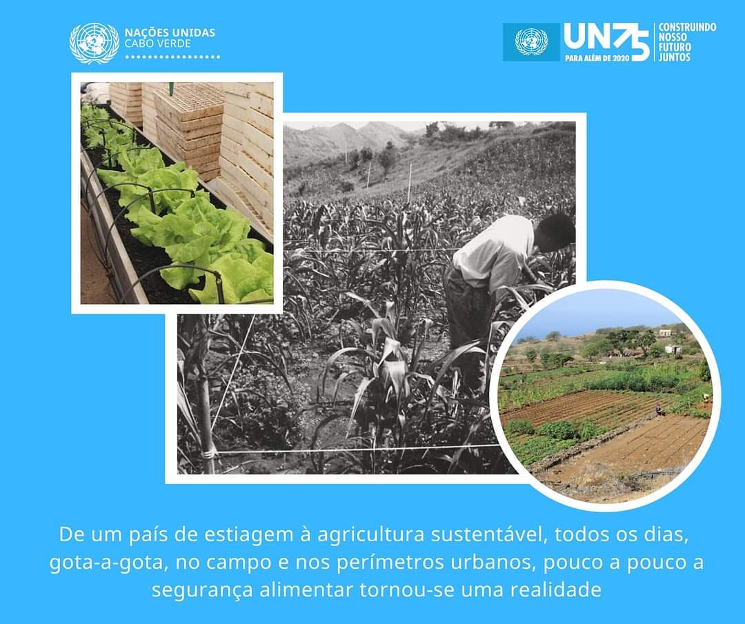 UNCaboVerde's tweet photo. Antes era o desalinho e a procura de melhores soluções.Hoje encontradas,estas terras são uma homenagem à abnegação de um povo que se constrói sobre pedras e com as suas gentes, sua maior riqueza. Uma luta da qual fazemos parte. #NaçõesUnidas e #CaboVerde num #djuntaMon desde 1975 https://t.co/KJjTjaLfa1