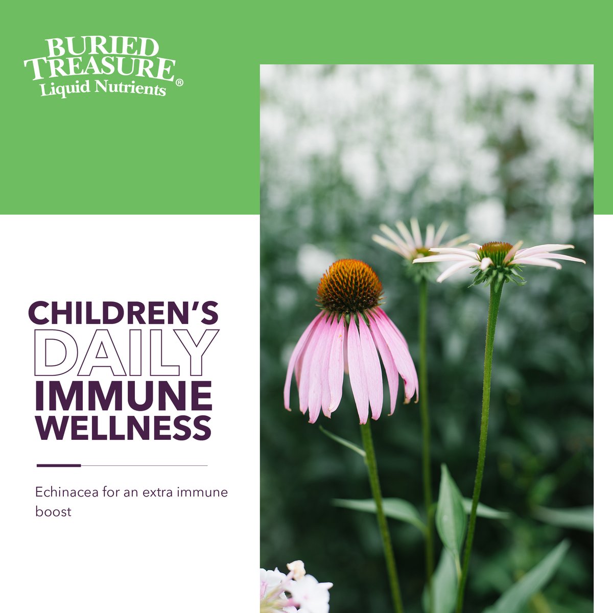 New Children's Daily Immune Wellness!

Specially formulated to be taken daily!

Now Available Here:  buriedtreasureln.com/product/childr…

#kidswellness #immunewellness #kidsimmunesupport #kidsimmuneboost