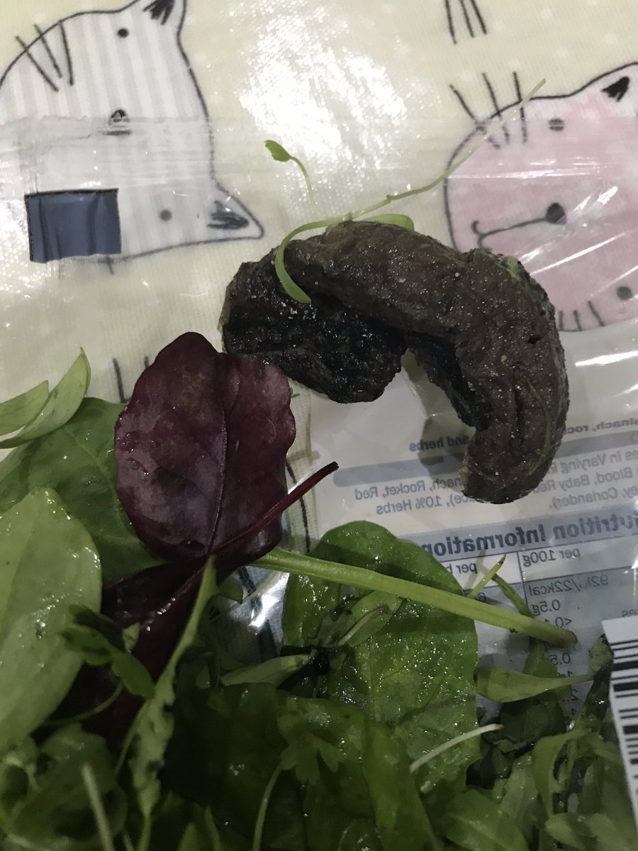 gembell1977's tweet photo. Excuse me @LidlGB but what in the world is this at the bottom of my bag of half eaten baby leaf salad 🥗 🤮 🤢 It’s hard and heavy so not a mouldy leaf... #feelsick #addedextras #yuck https://t.co/m5KAmrqbaq
