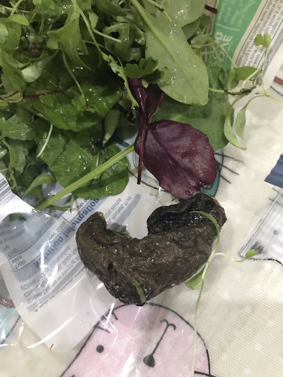 gembell1977's tweet photo. Excuse me @LidlGB but what in the world is this at the bottom of my bag of half eaten baby leaf salad 🥗 🤮 🤢 It’s hard and heavy so not a mouldy leaf... #feelsick #addedextras #yuck https://t.co/m5KAmrqbaq