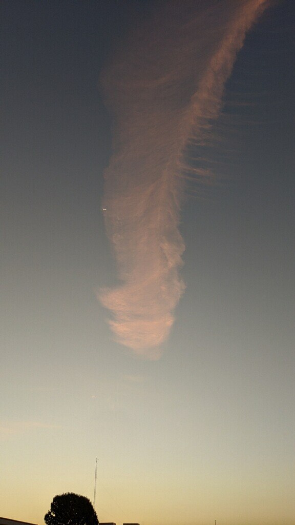 fark's tweet photo. A Texas Farker sent me this photo of a cloud he saw while waiting in line to vote this morning #PenisCloud #EverythingsBiggerInTexas https://t.co/oXuCJJIcKy