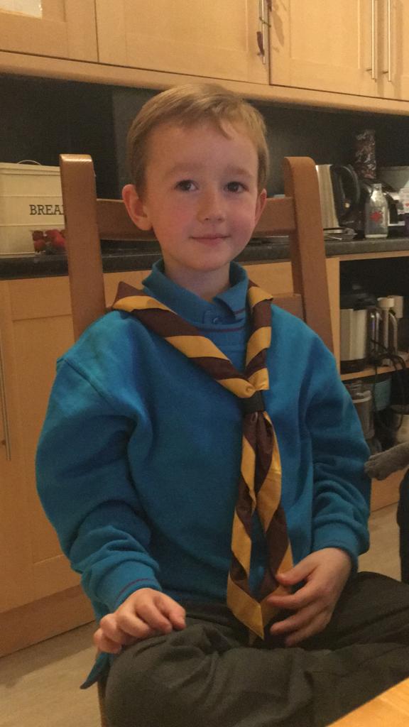 7 online @MerseysideScout 25th Allerton Beaver investitures with families assisting and the biggest smiles! #scoutingathome