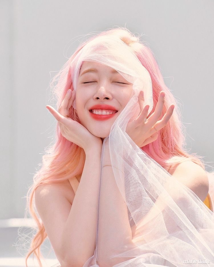 thank you, choi jinri for inspiring so many people around the world. we will never forget your warm heart and gummy smile. <3 #Remember_Sulli #사랑하는_진리에게_복숭이가