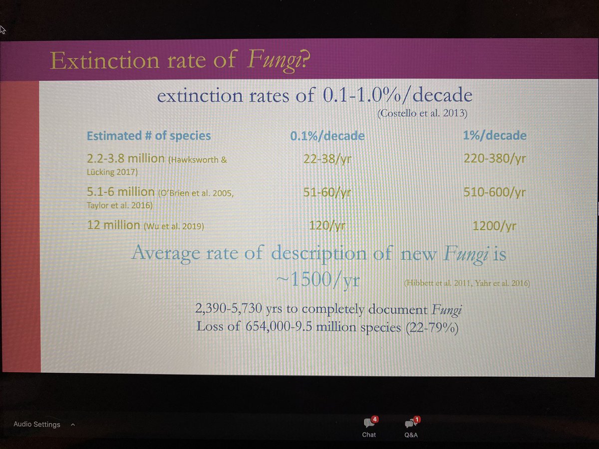 DoctorZedd's tweet image. Dentinger: We are barely describing more fungi than we’re losing each year. We are 1000 years behind botany.  #SOTWPF