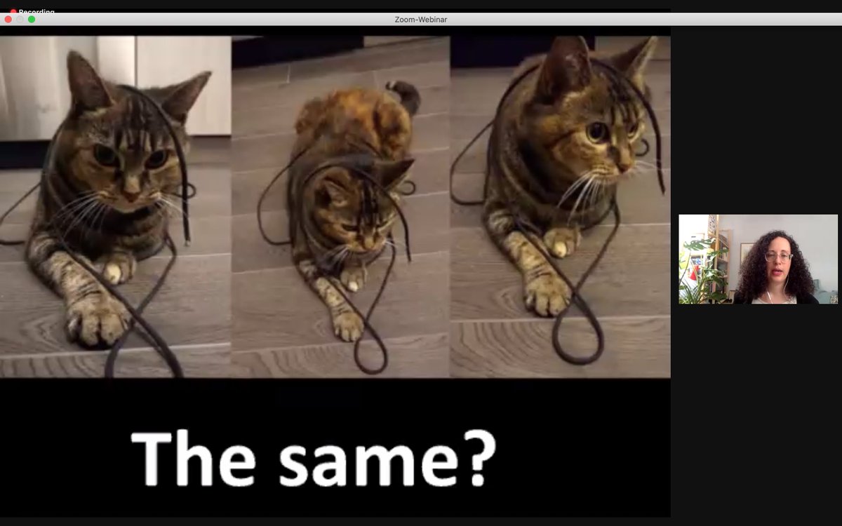 ACDH_OeAW's tweet photo. Come for the inspiration and input for your research methods, stay for the #CatContent: @VanHyningV proves at her #ACDHLecture that she is, unsurprisingly, a master of audience engagement ๐บ๐บ๐บ https://t.co/njSWTDZbTx