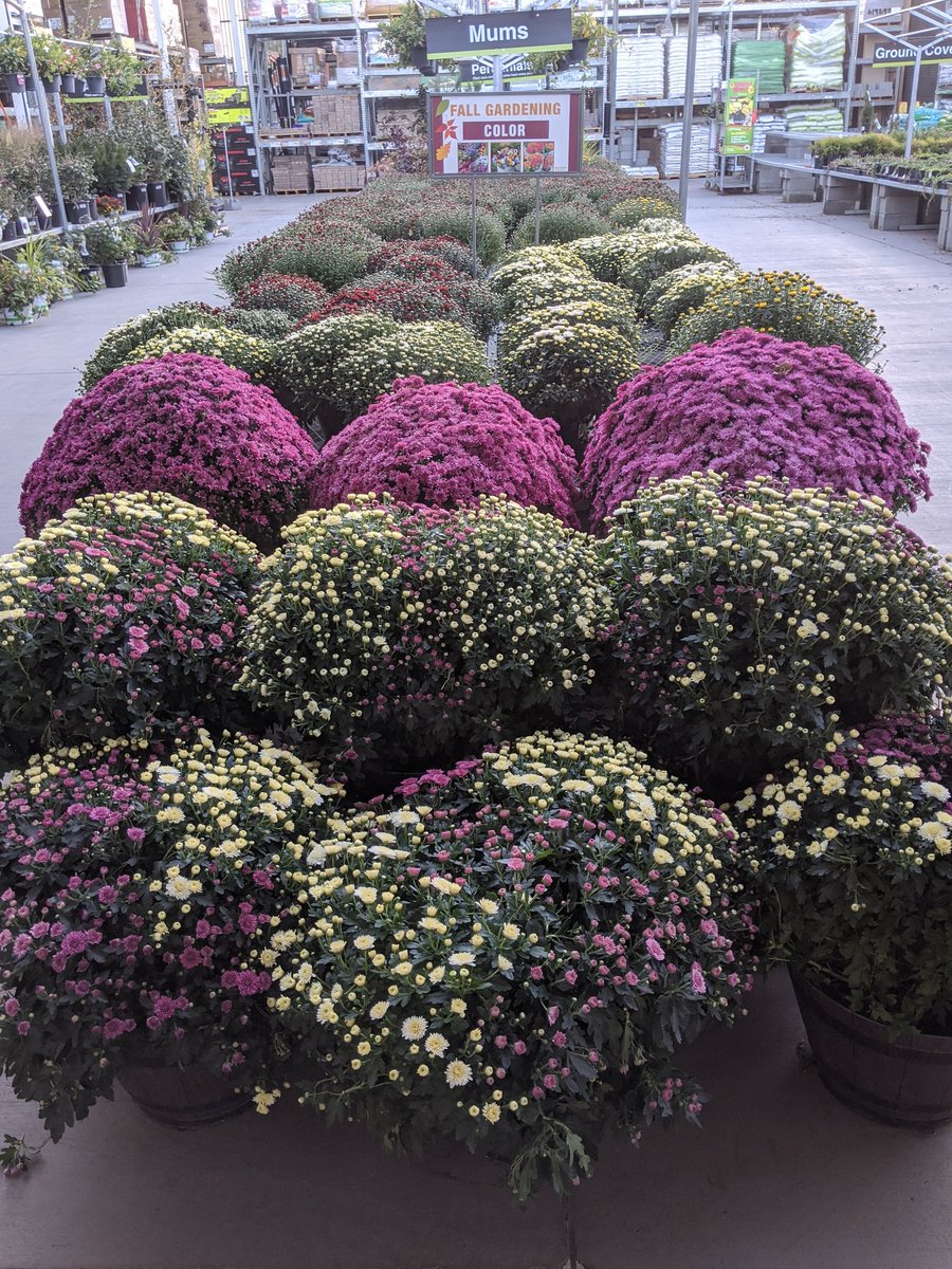 JamesCollins_55's tweet photo. We are ready to sell some live goods! #Ferocious4416 #D53 https://t.co/SAQG0QmFiQ