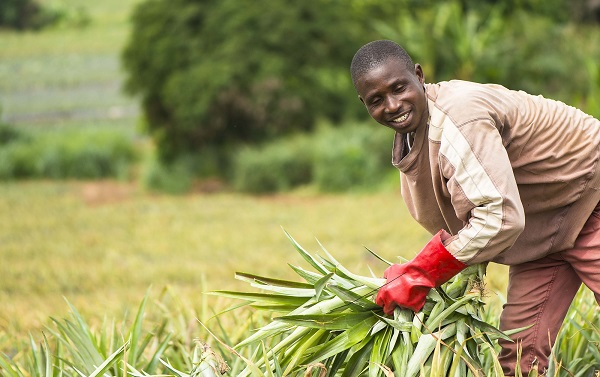 LEAF_Farming's tweet photo. Tomorrow is World Standards Day. Lets pay tribute to the experts around the world who develop International Standards to deliver a better, more sustainable future for all. #WorldStandardsDay #LEAFMarque #ISO #ITUT #IEC 🌍🤝🙏👏 @LEAFchief @LucyRedmore
👉https://t.co/N8rn5gTgxB https://t.co/3xqgwdnil3