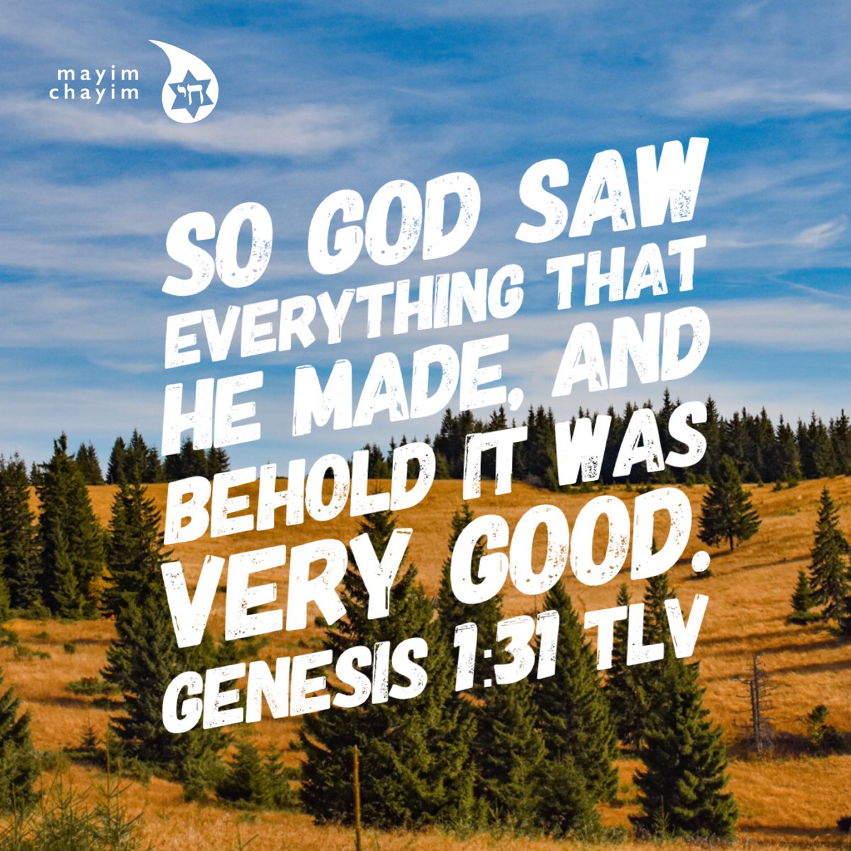 MayimChayim's tweet photo. Hey, yeah you! This includes you!!! He loves you and so do we!!!
#Genesis1v31 #TLV #ScriptureGraphics #ShalomEasternShore https://t.co/JdCLIoEVYf https://t.co/EhVplin66F