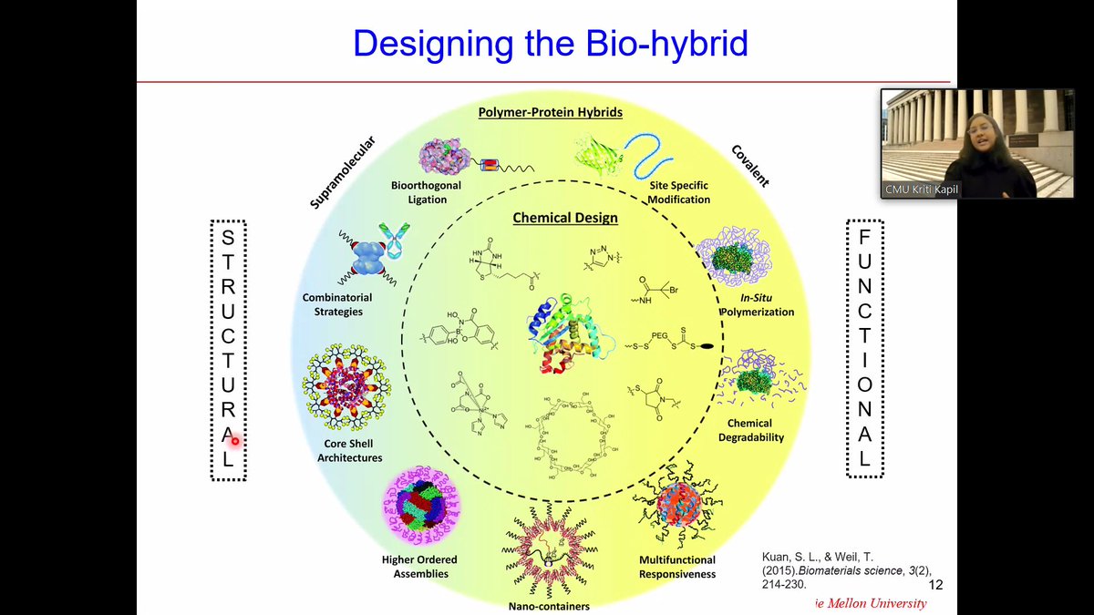 FrancescaLoran2's tweet photo. Kriti Kapil is showing the incredible opportunities that are raising from applying CRP to #biomaterials, describing the design of a large variety of #biohybrids - #CRPFall2020 @MatyPolymerLab https://t.co/KGTgOTBNNd