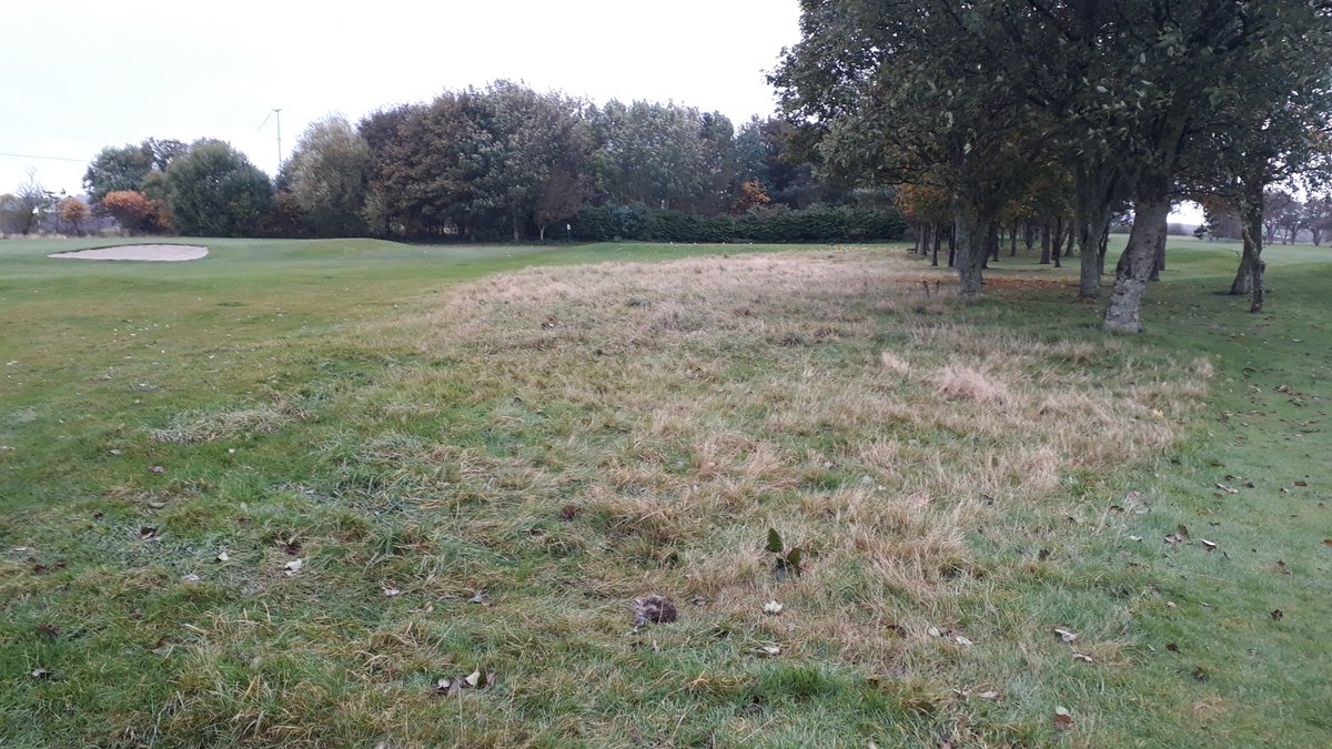 Tom Pattison tweet media