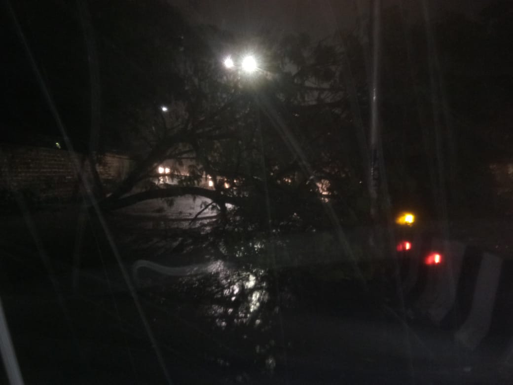 One tree fell down at Opp. Telephone Bhavan (Iqbal Minar to Old PS Saifabad Road). No vehicles are allowed from Iqbal Minar to old PS due to obstruction. In this regard commuters requested to choose alternate route.