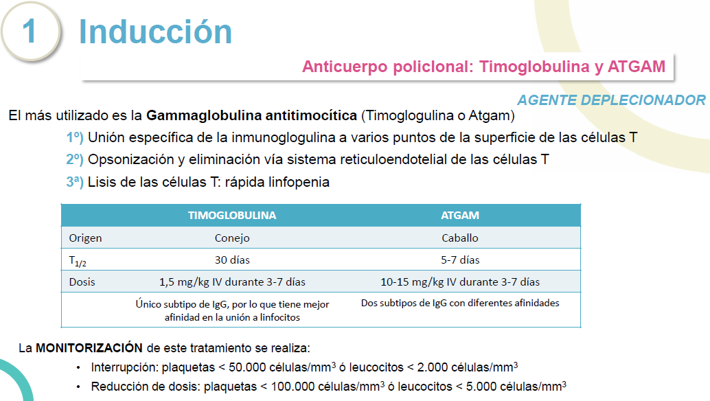 farmatrasplante's tweet photo. #BFHTOS 
Bases IS: Fase de inducción cont.

💉Mab policlonal: Gammaglobulina antitimocítica (Timoglobulina®/Atgam®) deplecionador, reservado para pac con alto riesgo de rechazo

💉Mab monoclonal: Basiliximab (+ utilizado por mejor perfil de seguridad), alemtuzumab (deplecionador) https://t.co/g5NSiz7EZ7
